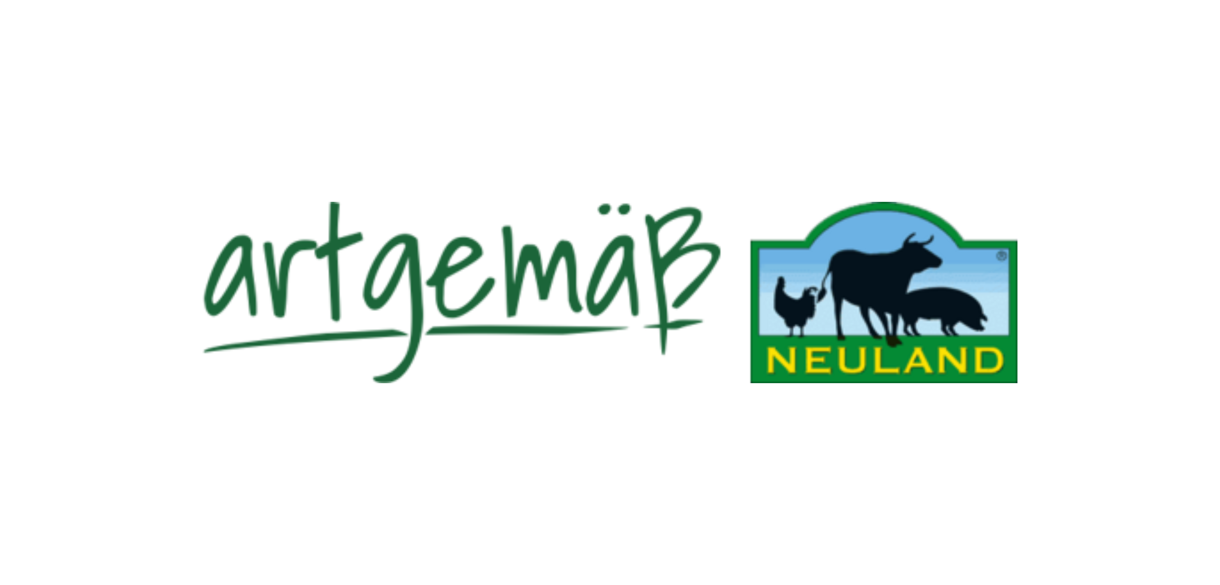 Design ohne Titel (31)